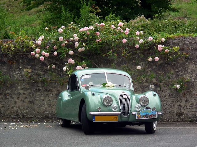 Jaguar XK120 1980